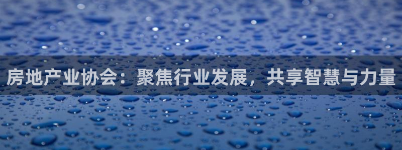 摩登7平台登录：房地产业协会：聚焦行业发展，共享智慧与力量
