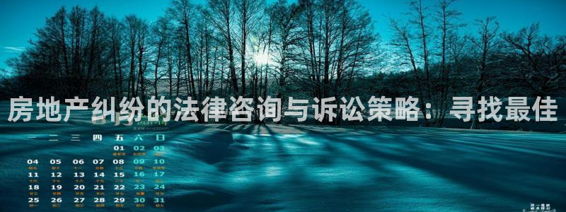 摩登7直属：房地产纠纷的法律咨询与诉讼策略：寻找最佳