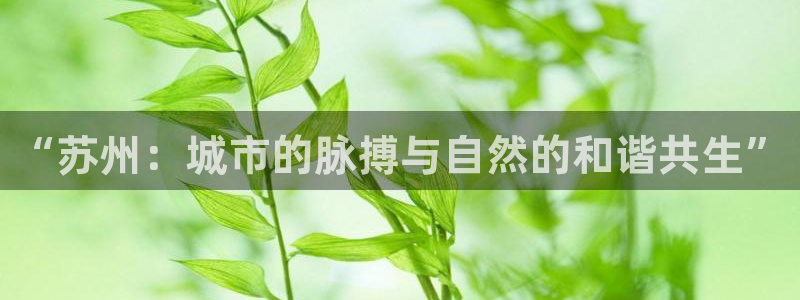 摩登7上级：“苏州：城市的脉搏与自然的和谐共生”