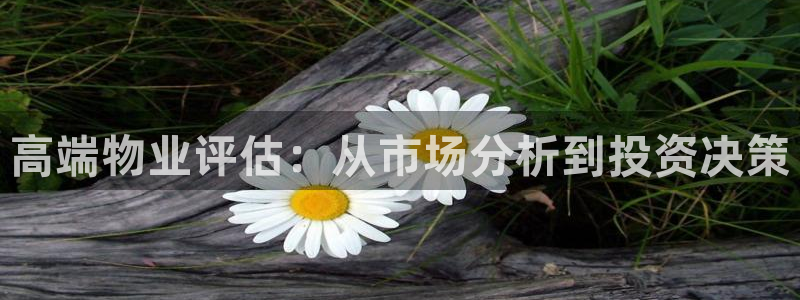 摩登7风3299O7：高端物业评估：从市场分析到投资决策