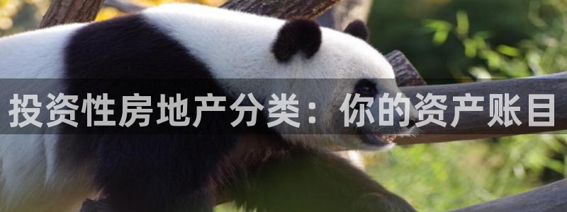 摩登7平台登录地址：投资性房地产分类：你的资产账目