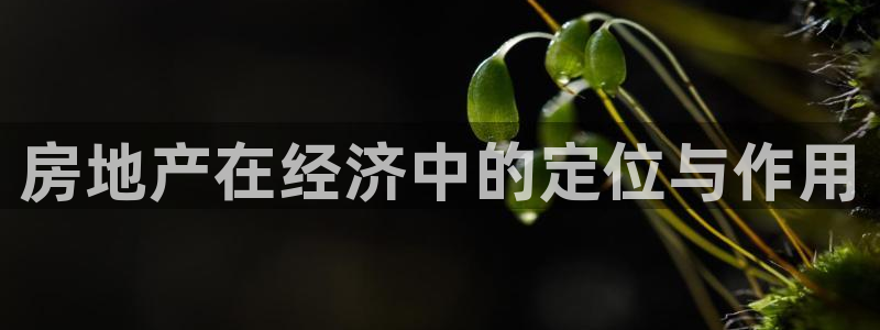 摩登7平台app：房地产在经济中的定位与作用