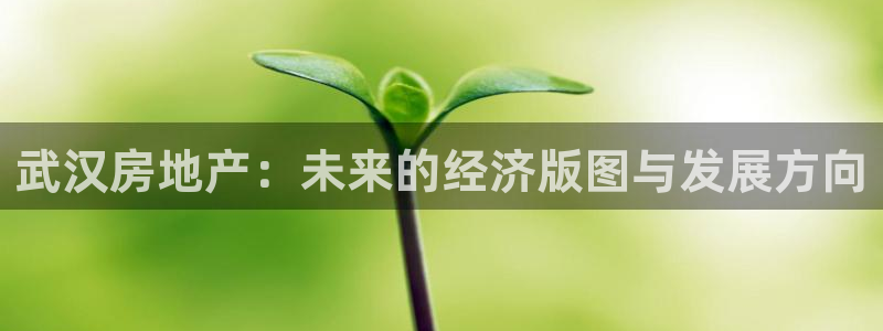 摩登7登录释333OO：武汉房地产：未来的经济版图与发展方向
