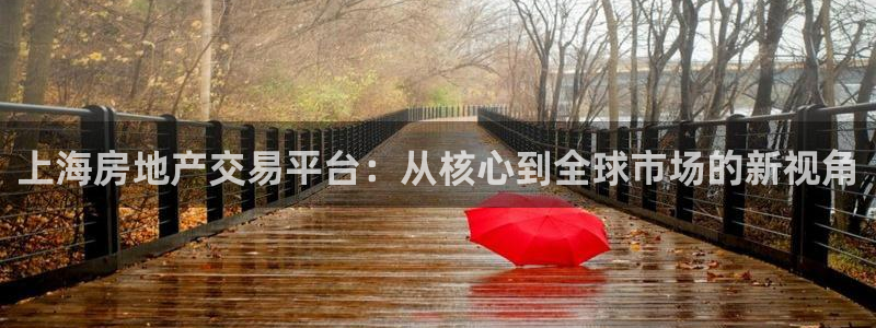 摩登7平台招商：上海房地产交易平台：从核心到全球市场的新视角