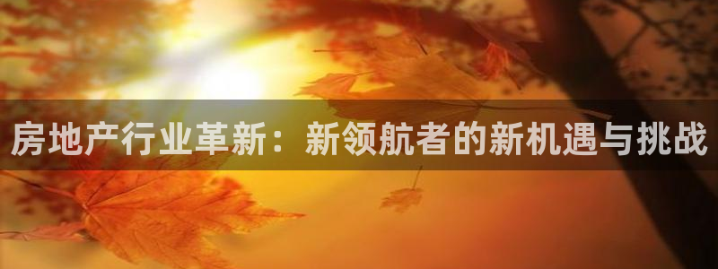 摩登注册型7O777：房地产行业革新：新领航者的新机遇与挑战