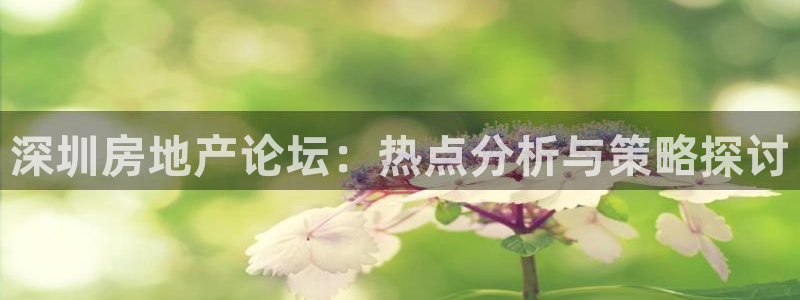 摩登7平台网址：深圳房地产论坛：热点分析与策略探讨