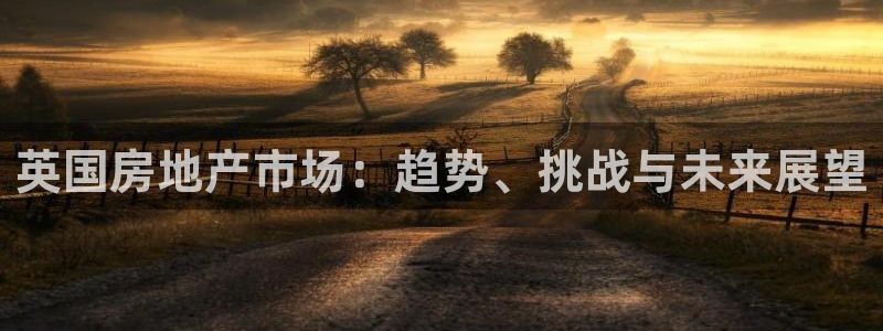 摩登7app官网下载：英国房地产市场：趋势、挑战与未来展望