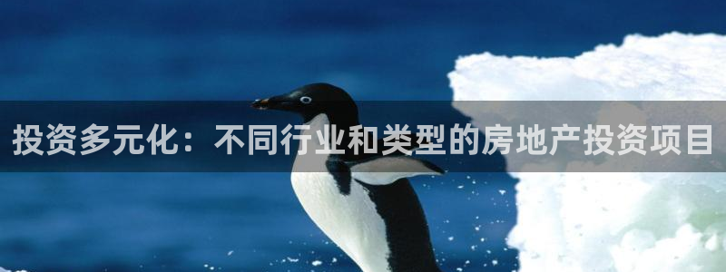 摩登7登录释333OO：投资多元化：不同行业和类型的房地产投