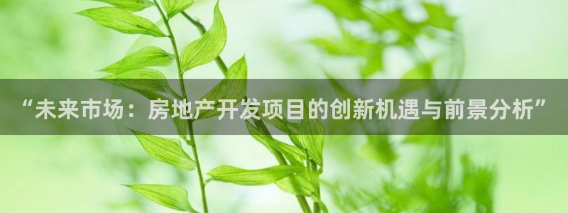 摩登7官网的详细介绍：“未来市场：房地产开发项目的创新机遇与