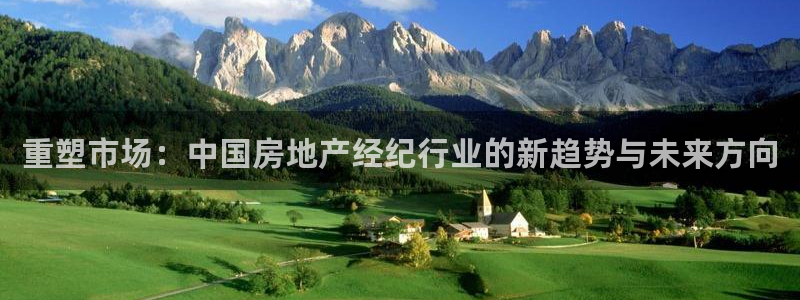 摩登7口碑：重塑市场：中国房地产经纪行业的新趋势与未来方向