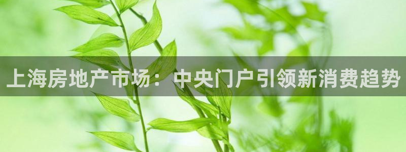 摩登7注册：上海房地产市场：中央门户引领新消费趋势