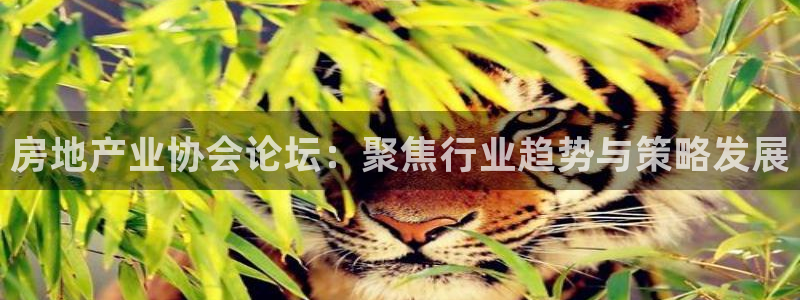 lgg7摩登：房地产业协会论坛：聚焦行业趋势与策略发展