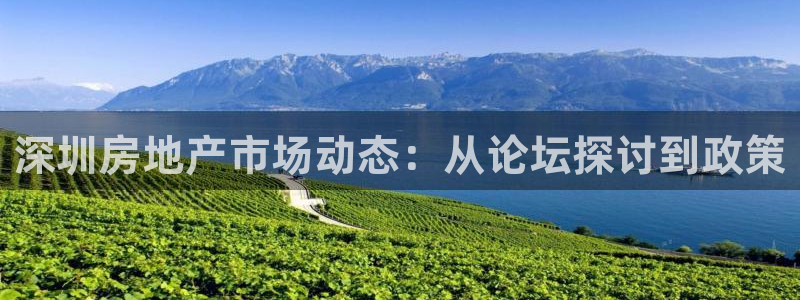 摩登7在线注册加v：深圳房地产市场动态：从论坛探讨到政策