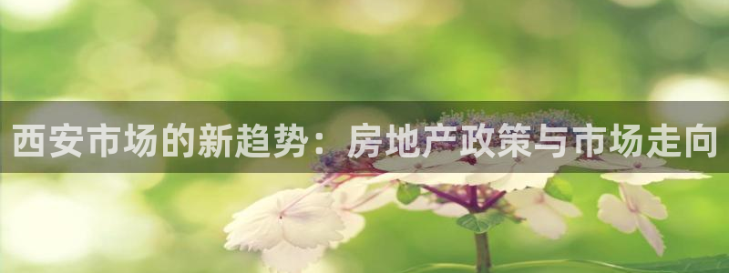 a7s2摩登：西安市场的新趋势：房地产政策与市场走向