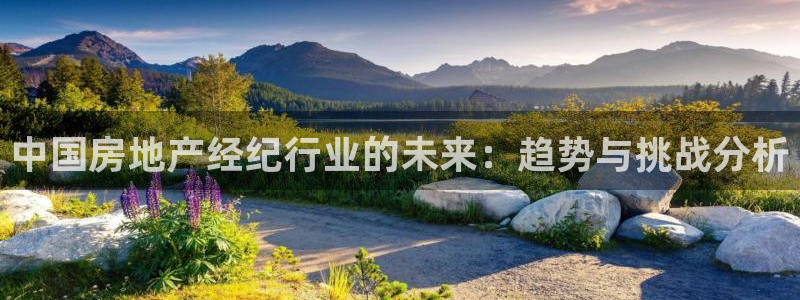 摩登7登录地址：中国房地产经纪行业的未来：趋势与挑战分析