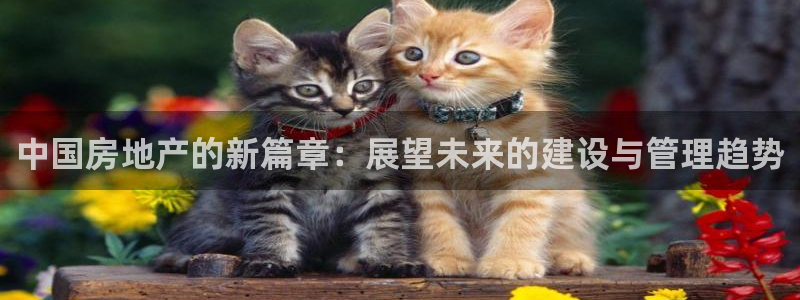 摩登7娱乐注册登录：中国房地产的新篇章：展望未来的建设与管理