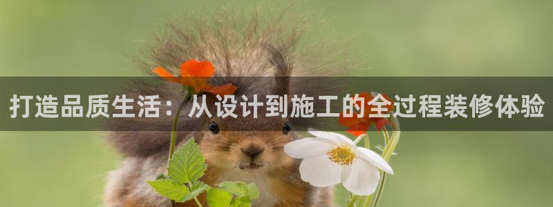 华彩7级摩登：打造品质生活：从设计到施工的全过程装修体验