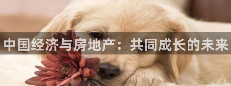 摩登7官方联系方式：中国经济与房地产：共同成长的未来