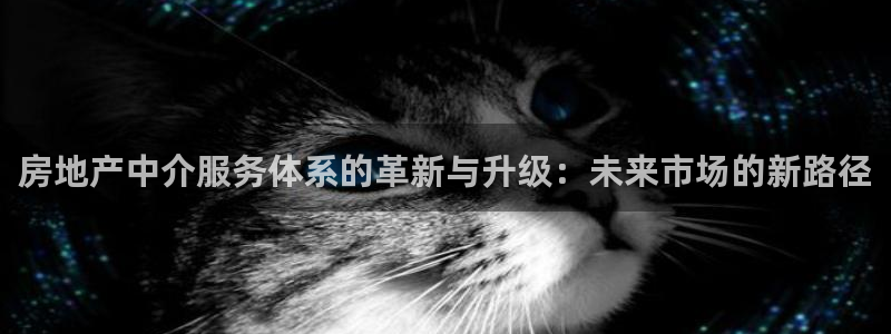 摩登7注册账号：房地产中介服务体系的革新与升级：未来市场的新