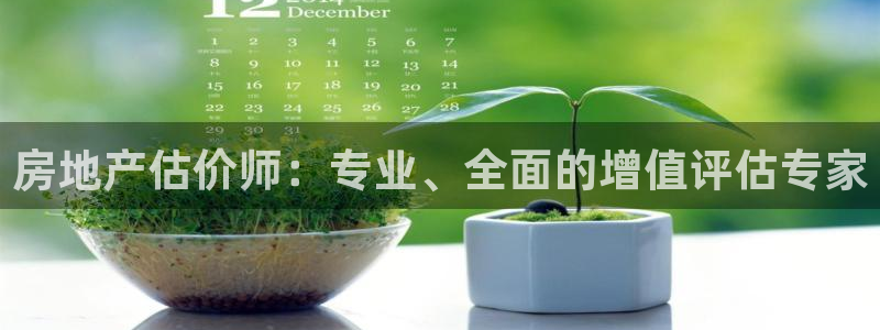 摩登7上3299O7：房地产估价师：专业、全面的增值评估专家