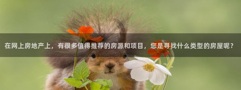 摩登7平台招商：在网上房地产上，有很多值得推荐的房源和项目，