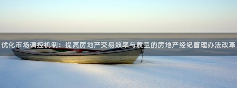 摩登4地7O667：优化市场调控机制：提高房地产交易效率与质