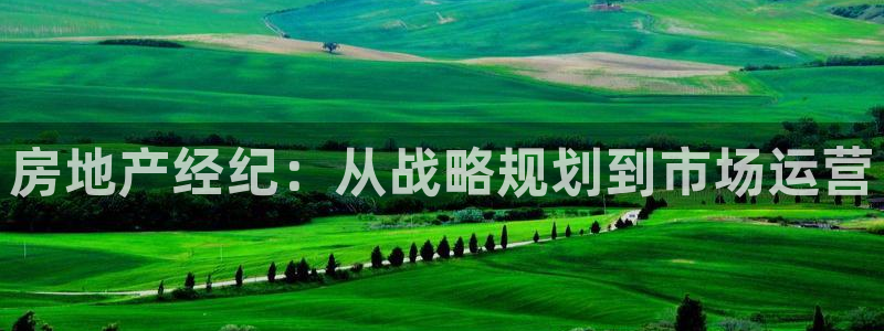 摩登招商臼金手指专业7：房地产经纪：从战略规划到市场运营