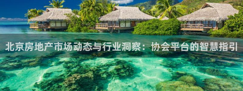 摩登7平台网址下载：北京房地产市场动态与行业洞察：协会平台的