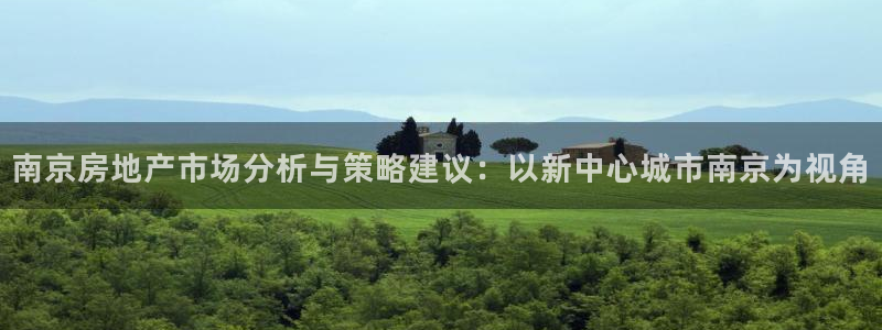 摩登7平台首页：南京房地产市场分析与策略建议：以新中心城市南