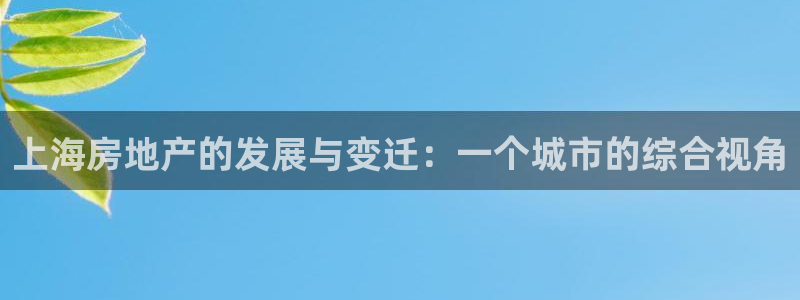 摩登3往找7O667：上海房地产的发展与变迁：一个城市的综合