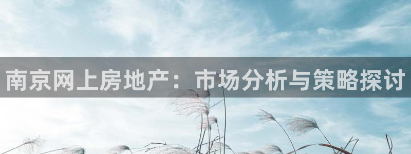 摩登5张7O667：南京网上房地产：市场分析与策略探讨