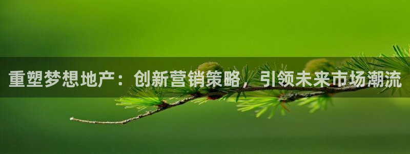 摩登7注册滴qv382223：重塑梦想地产：创新营销策略，引