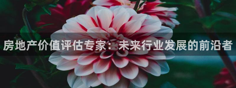 摩登7登录入口：房地产价值评估专家：未来行业发展的前沿者