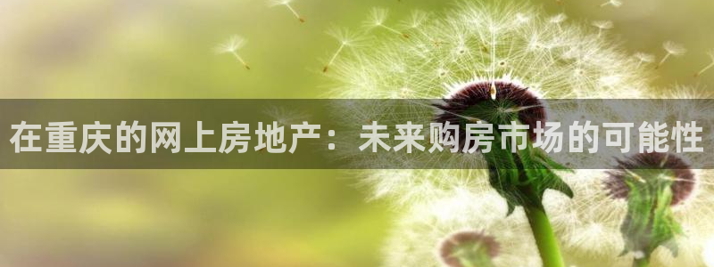 摩登7怎么联系客服：在重庆的网上房地产：未来购房市场的可能性
