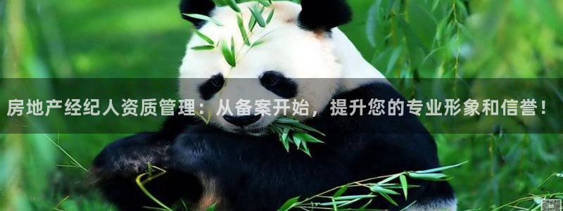 摩登7平台下载：房地产经纪人资质管理：从备案开始，提升您的专