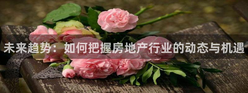 摩登5周7O667：未来趋势：如何把握房地产行业的动态与机遇
