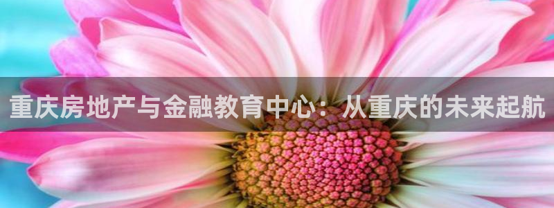 摩登7登陆注册：重庆房地产与金融教育中心：从重庆的未来起航