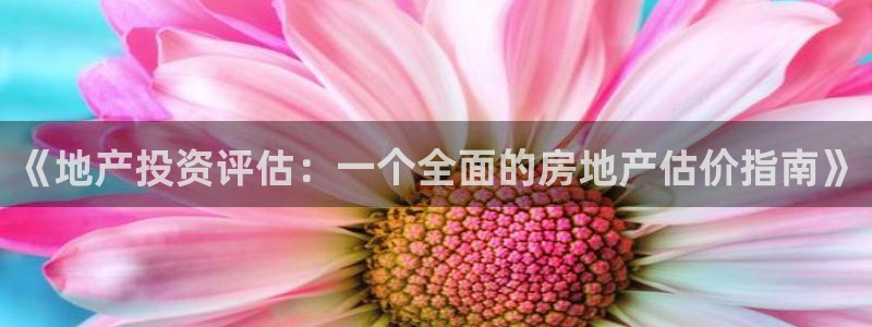 摩登7代理：《地产投资评估：一个全面的房地产估价指南》