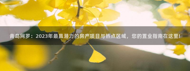 摩登7日：青岛网罗：2023年最具潜力的房产项目与热点区域，