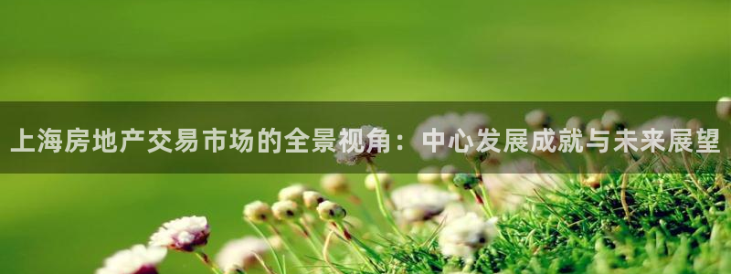 摩登6郑7O667：上海房地产交易市场的全景视角：中心发展成