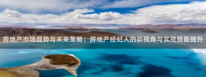 摩登5韩这7O667：房地产市场趋势与未来策略：房地产经纪人