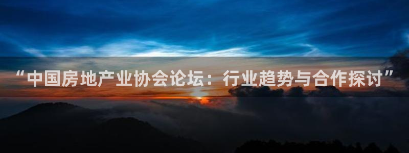 摩登7登录找qv3822233：“中国房地产业协会论坛：行业