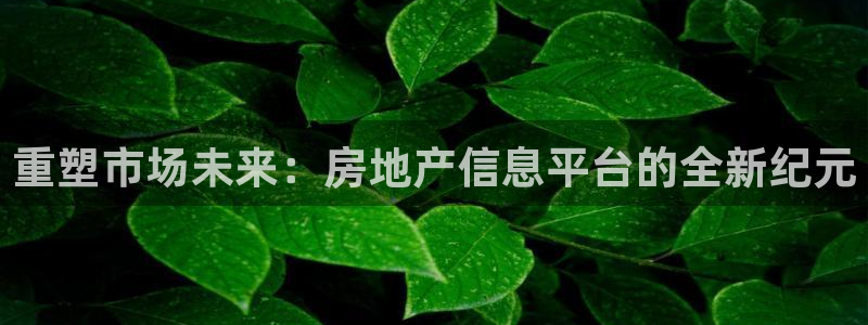 摩登7安全吗