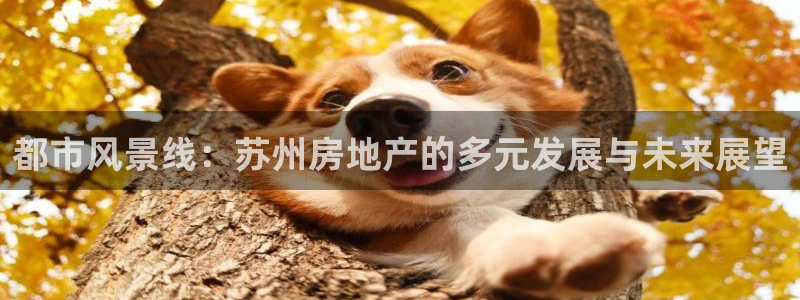 摩登7注册快333OO：都市风景线：苏州房地产的多元发展与未