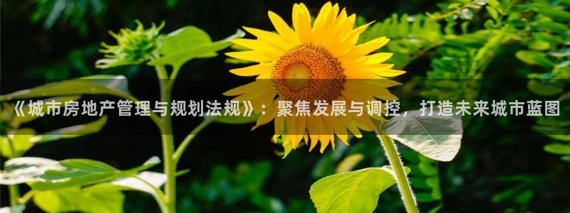 摩登7登录注册：《城市房地产管理与规划法规》：聚焦发展与调控