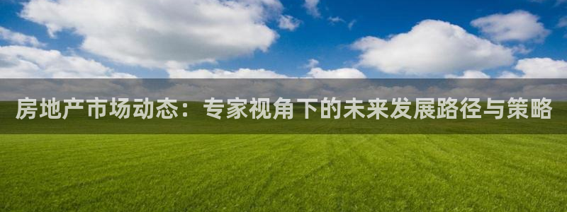 摩登乐园7：房地产市场动态：专家视角下的未来发展路径与策略