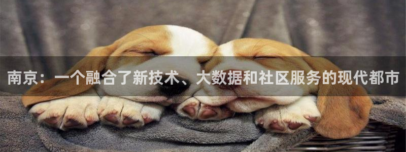 摩登3往找7O667：南京：一个融合了新技术、大数据和社区服