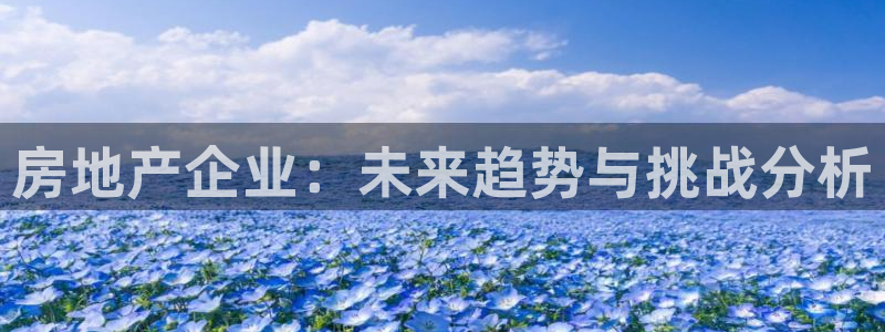 摩登7地7O667：房地产企业：未来趋势与挑战分析