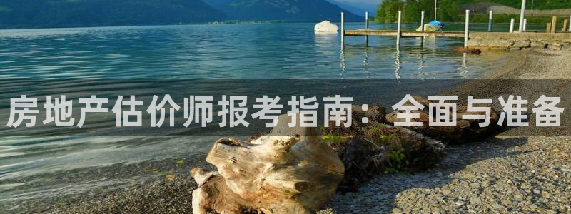 摩登3褚7O667：房地产估价师报考指南：全面与准备