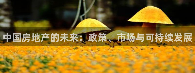 摩登世界7：中国房地产的未来：政策、市场与可持续发展